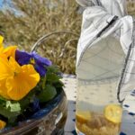 Atelier Kombucha
