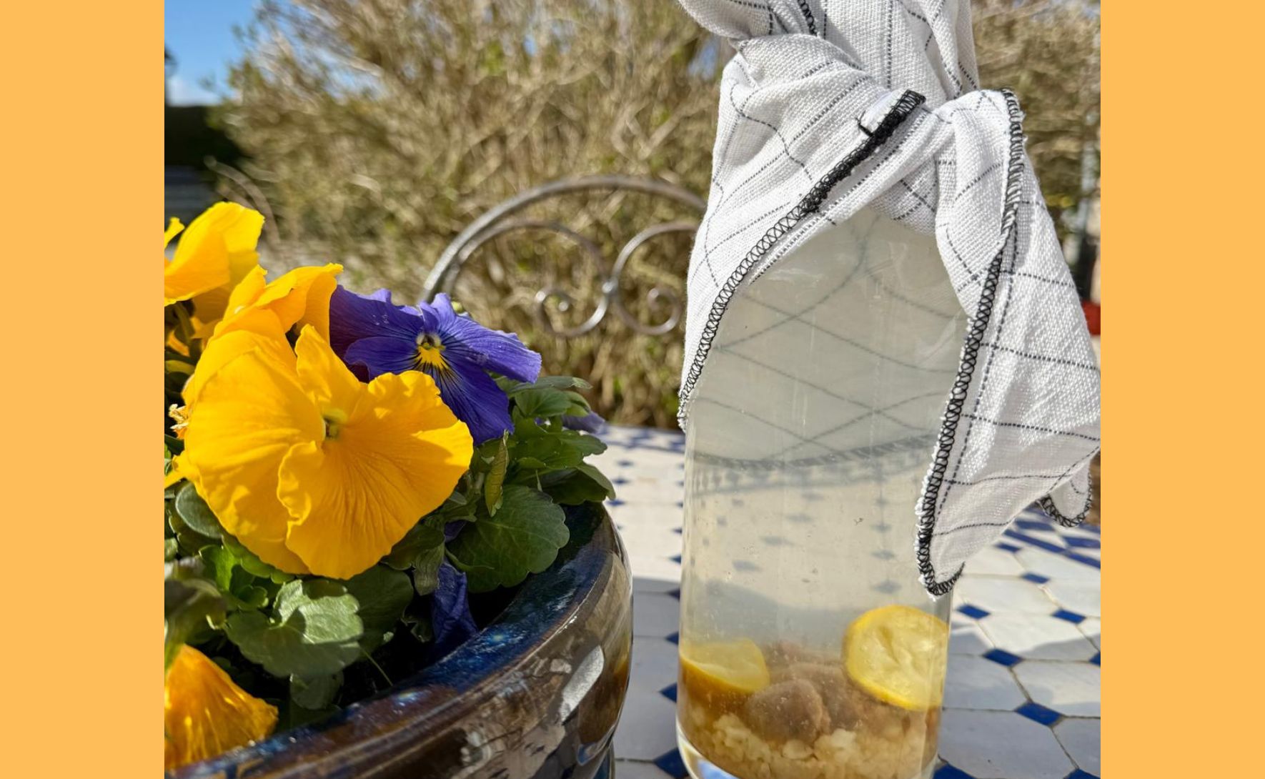 Atelier Kombucha